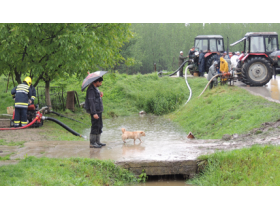 Kupinovo se utvrđuje za doček novog talasa