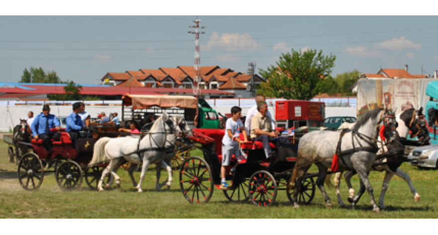 Нови термин за пећиначку Фијакеријаду петак, 29. мај
