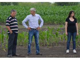 Poljoprivredna šteta u opštini Pećinci 102 miliona