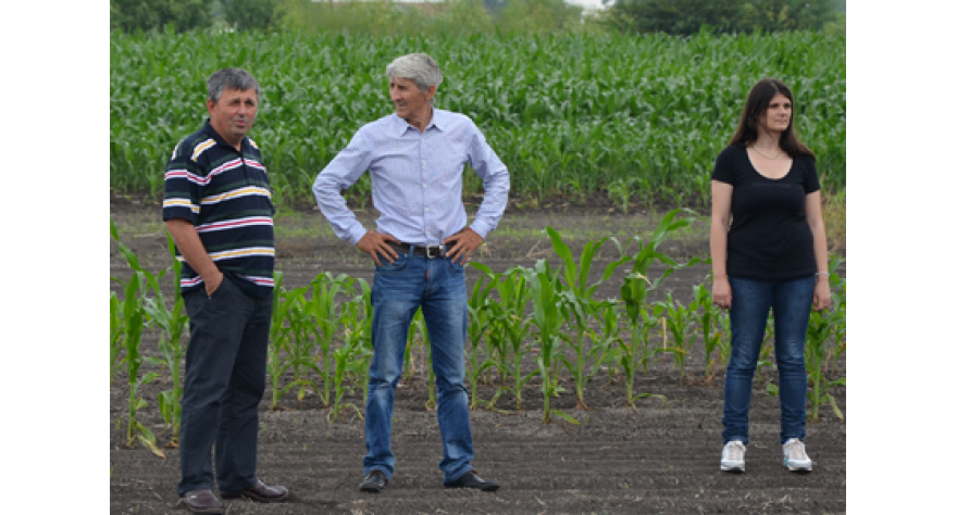 Poljoprivredna šteta u opštini Pećinci 102 miliona