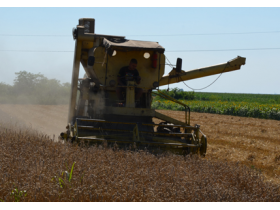 Padavine ometale žetvu