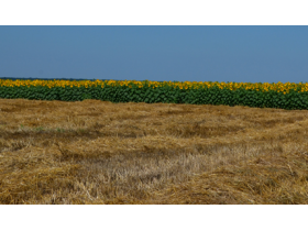 Zabranjeno spaljivanje žetvenih ostataka