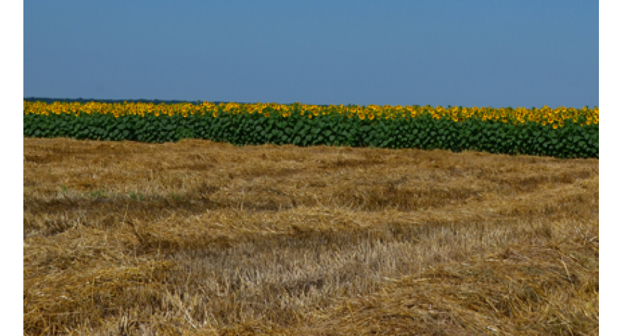 Zabranjeno spaljivanje žetvenih ostataka