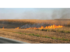 Zabranjeno spaljivanje žetvenih ostataka