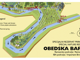 Regata Majke Angeline startuje 13. avgusta