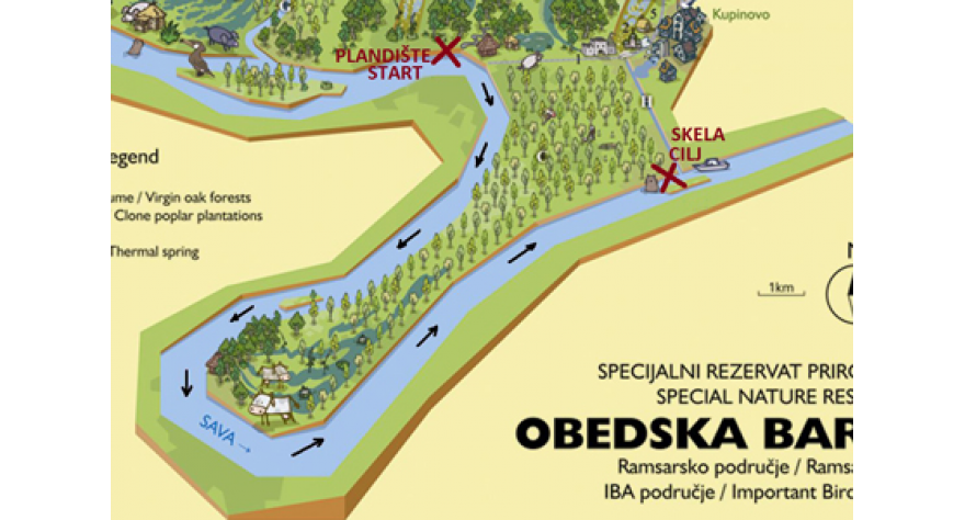 Regata Majke Angeline startuje 13. avgusta