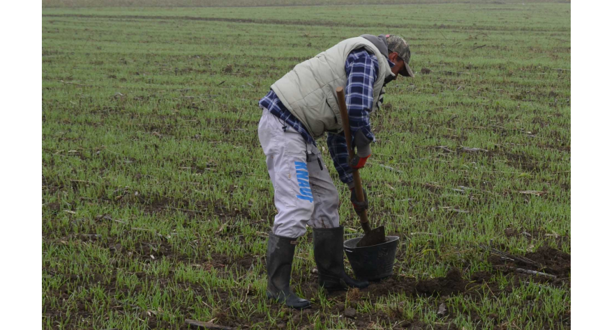 Besplatna analiza zemljišta za registrovana gazdinstva