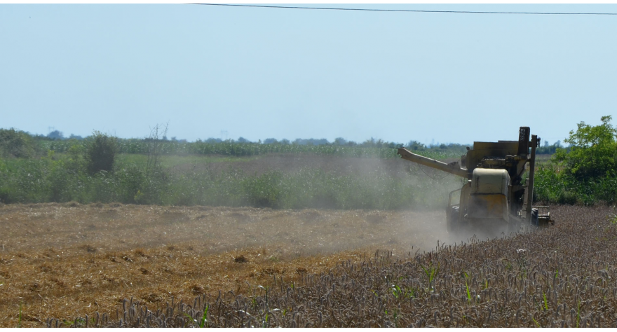 Zabranjeno spaljivanje žetvenih ostataka