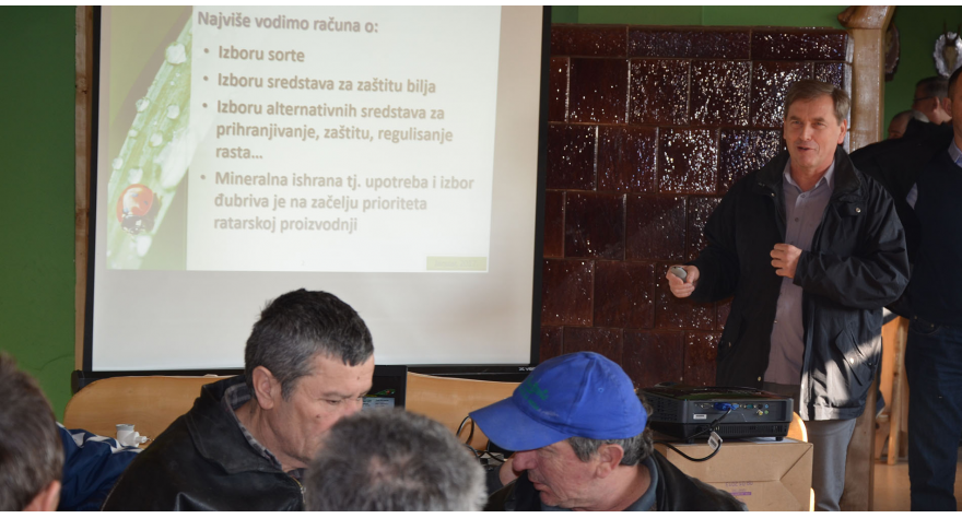 Idealno vreme za prihranu pšenice