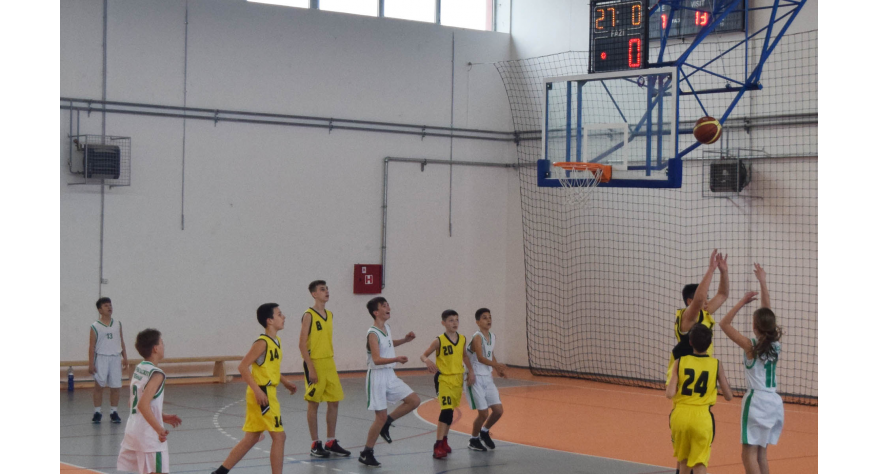 Praznik košarke u Donjem Tovarniku