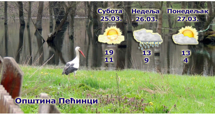 Sa prolećem stigle nam i rode