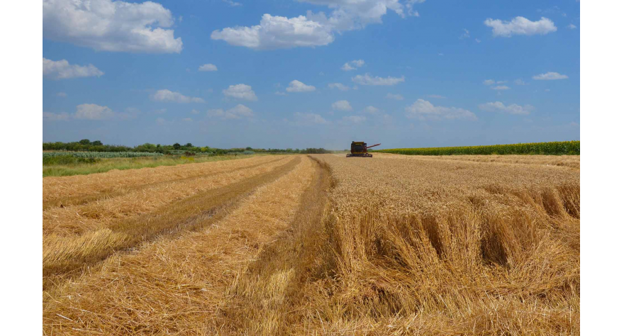 Razvojni fond nastavlja povoljno kreditiranje privrede i poljoprivrede