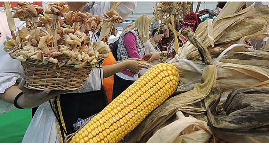 Kurzovina – od posteljine do građevinskog materijala