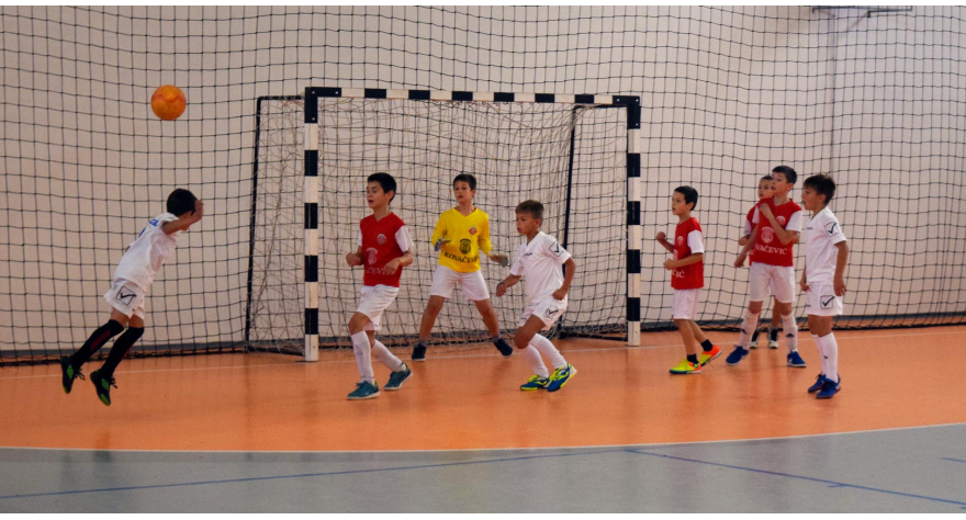 Revija malog fudbala