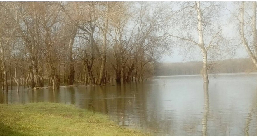 Sava danas na 428 cm