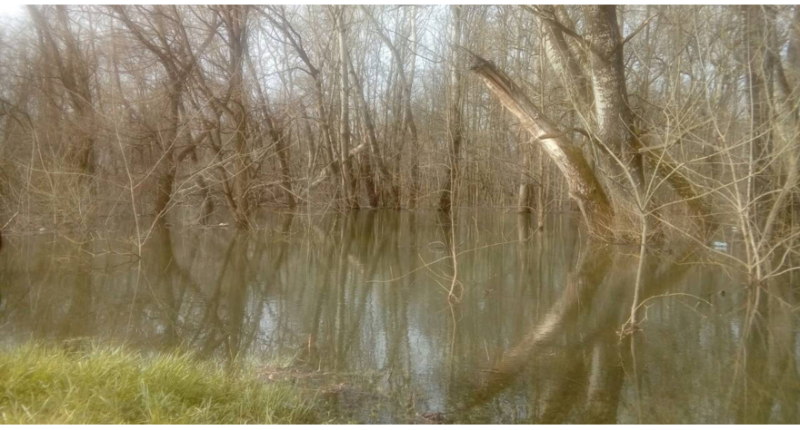 Sava u porastu za 10 cm