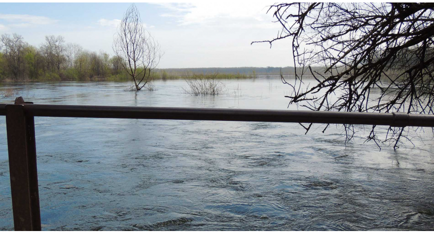 Sava od juče porasla još 10 cm