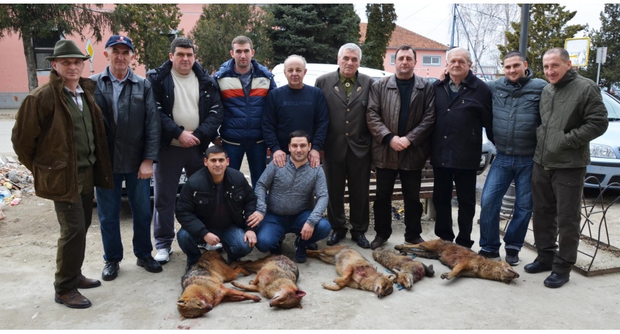 Lovci poslednja linija odbrane od šakala