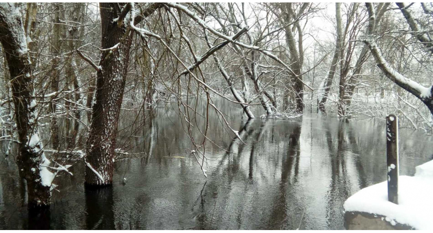 Sava u porastu 20 cm za poslednja 24 časa