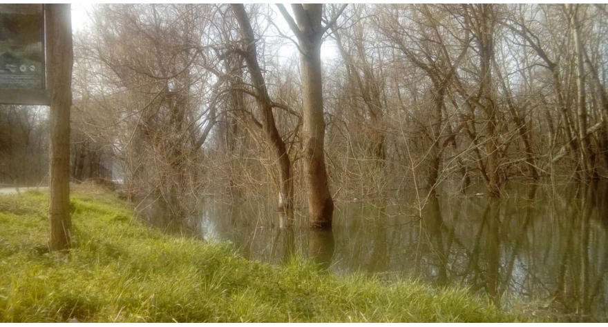 Sava se povukla za 3 cm