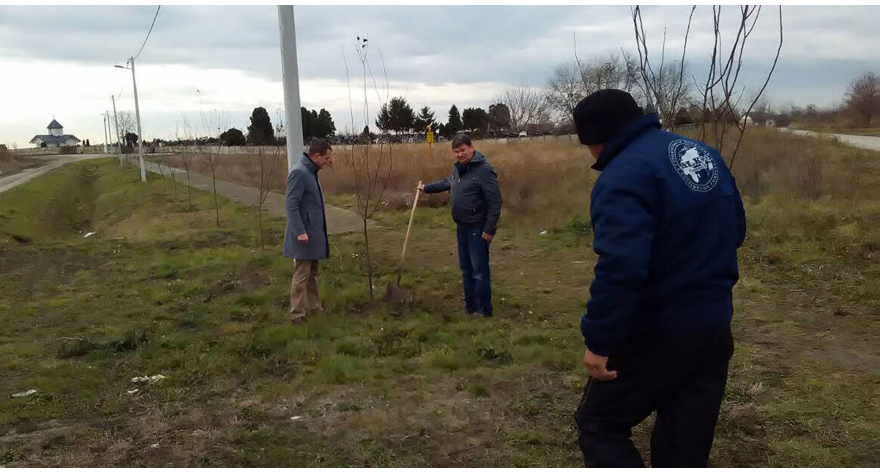 Шимановци зеленији за 114 стабала