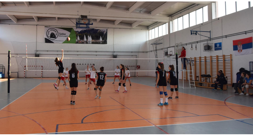 Новогодишњи турнир у Доњем Товарнику