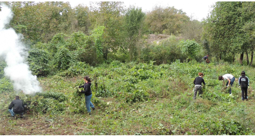 Počeo V arheološki kamp u Kupinovu