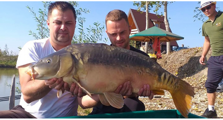 Zatvorena sezona na Sremskoj oazi