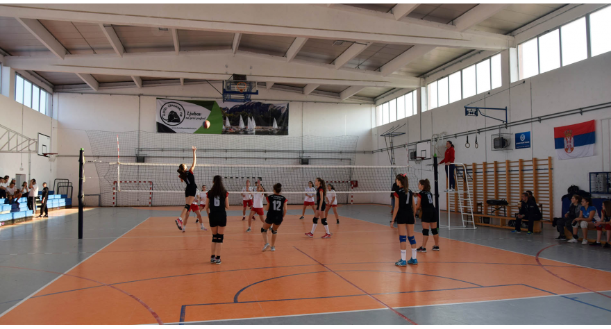 Sutra Festival odbojke u Donjem Tovarniku