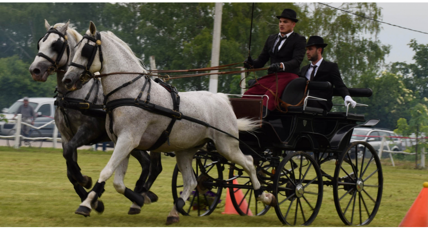 Fijakerijada otvorila Dane opštine