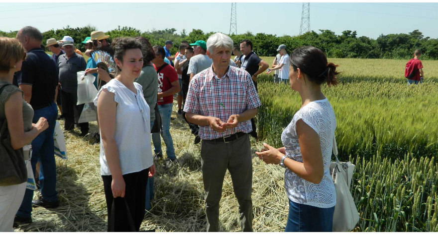 U susret žetvi održani Dani polja