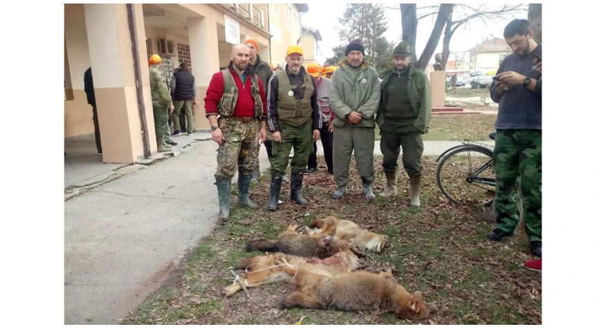 Odstreljeno 4 predatora u Ašanji