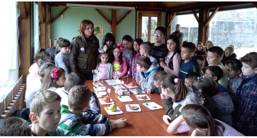 Eko nedelja u Diogenu