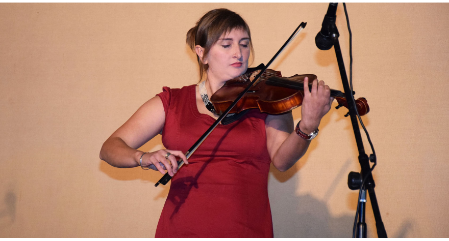 Veče violine u Pećincima