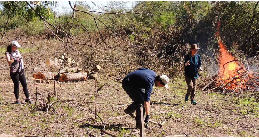Volonteri iz 10 zemalja čiste Obedsku baru