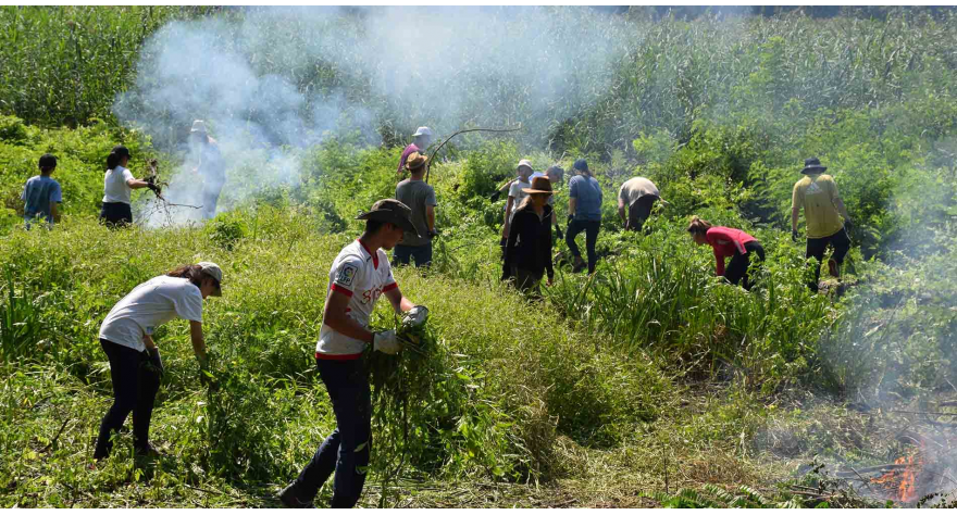 Očišćeno 70 tona organskog materijala