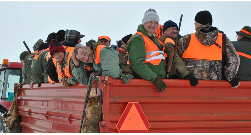 Velika hajka u nedelju 23. februara