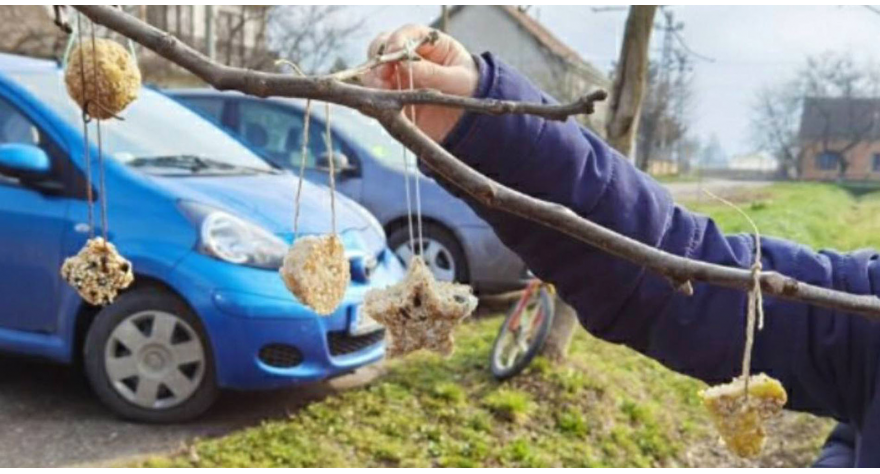 U susret proleću i lastama