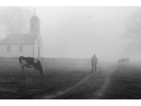 Povratak sa molitve, Slobodan Čavić, specijalna nagrada TO Pećinci