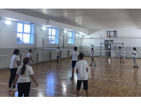 OŠ Dušan Vukasović Diogen, Kupinovo