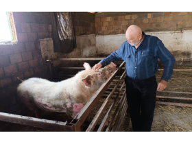 Данило Живановић