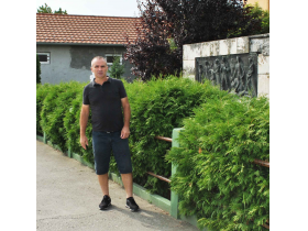 Дејан Весић