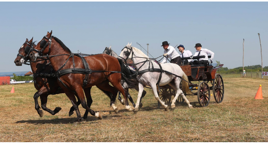 Сремачки ајгир окупио 50 запрега на фијакеријади у Огару