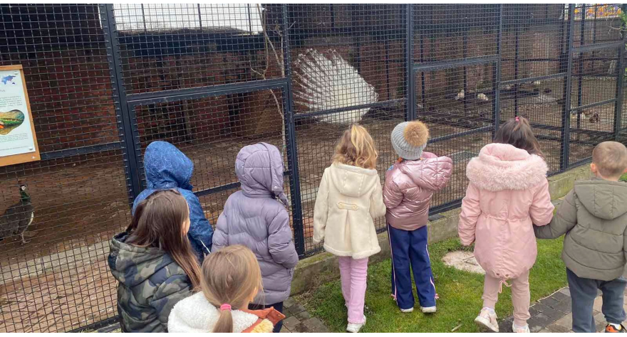 Попиначки малишани се упознали са птицама у зоо-врту