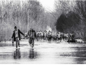 Emilija Bastajić - Evakuacija