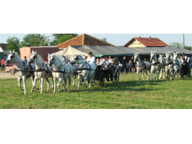 Fijakerijada u Pećincima