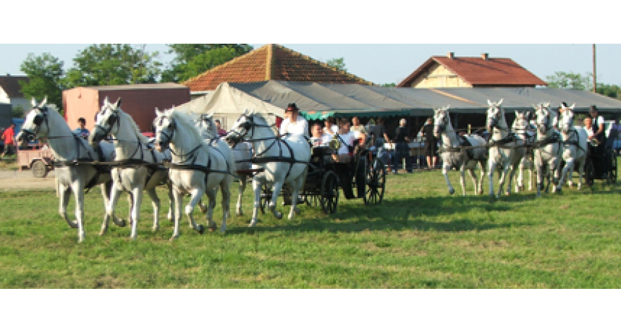 Fijakerijada u Pećincima