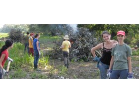 Mladi iz Evrope na Obedskoj bari