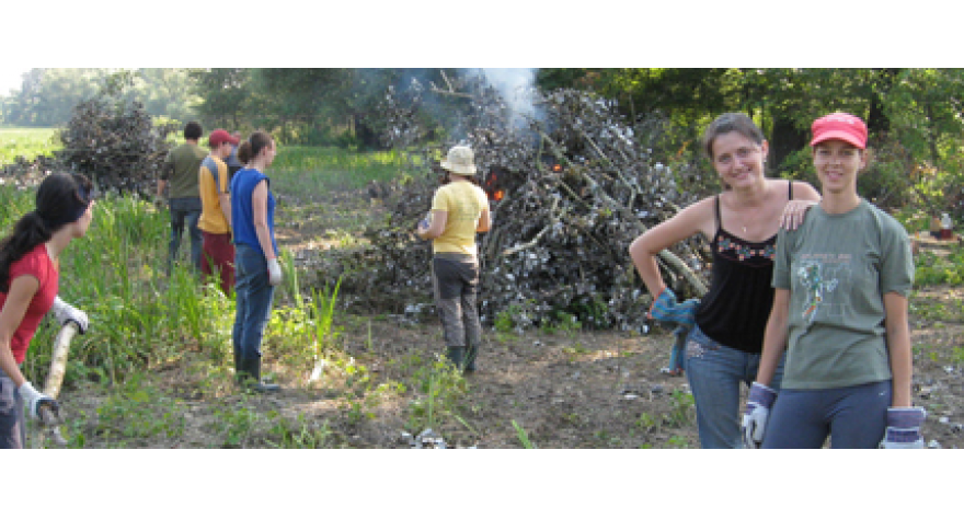 Mladi iz Evrope na Obedskoj bari